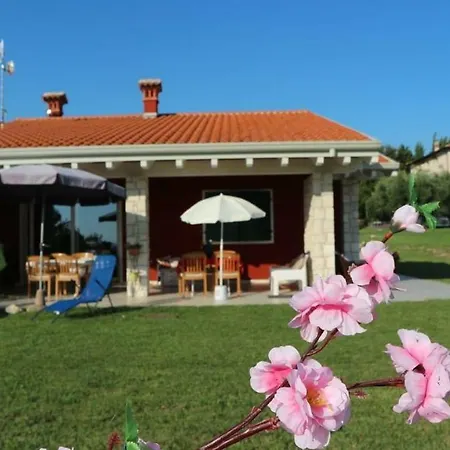Rosa Dei Venti Sul Garda